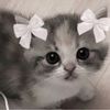 jerseymichasiw